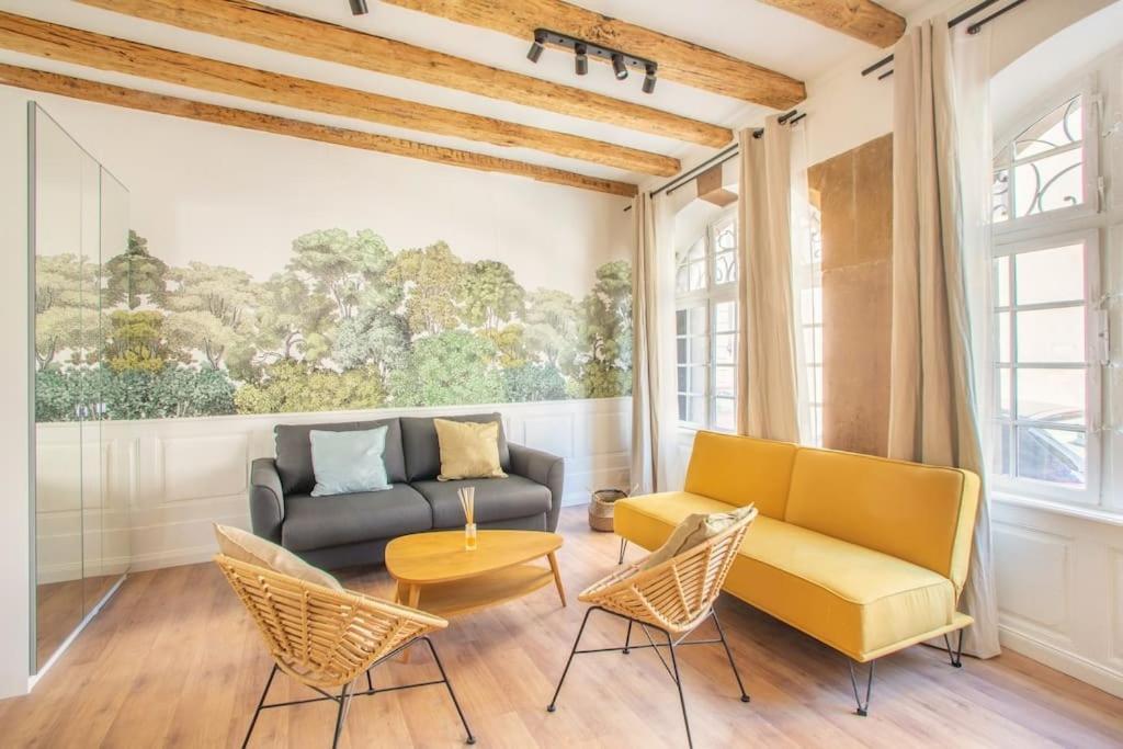 Apartamento La Halte Strasbourgeoise - Superbe Appt Pres De La Petite France